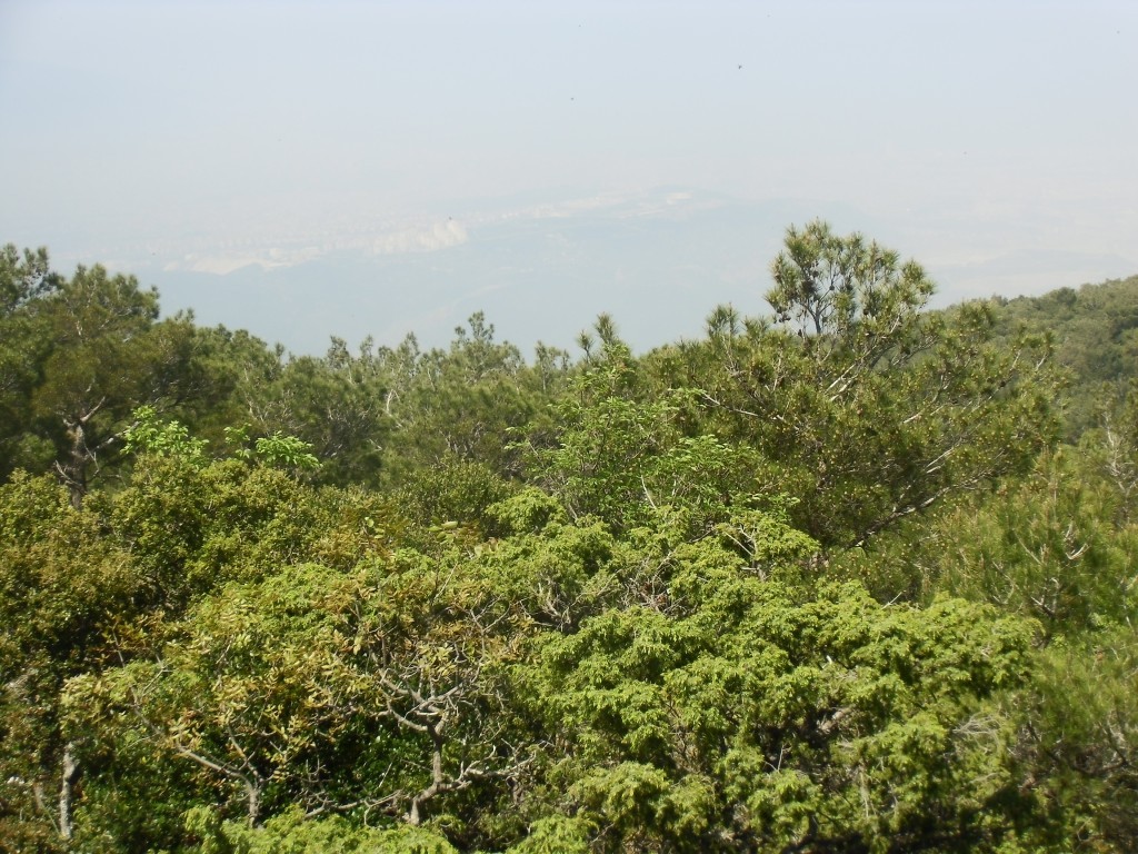IMG_0020.JPG