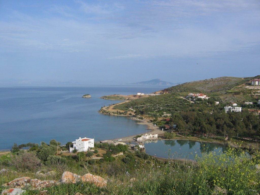 IMG_0021.jpg