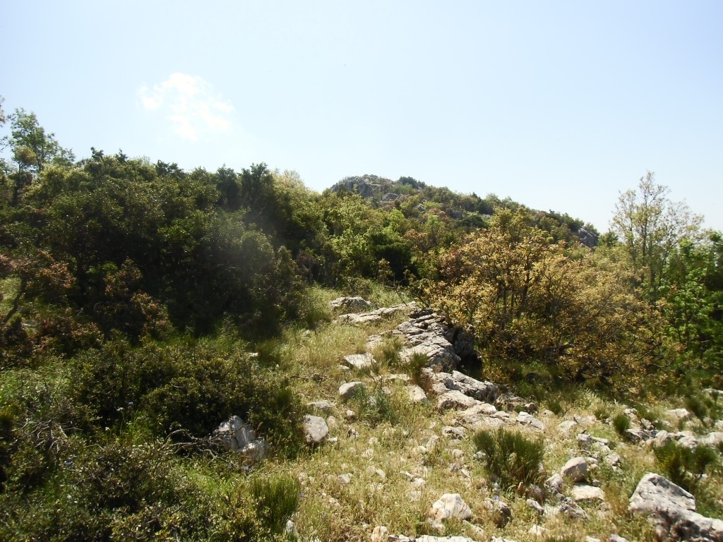 IMG_0021.JPG
