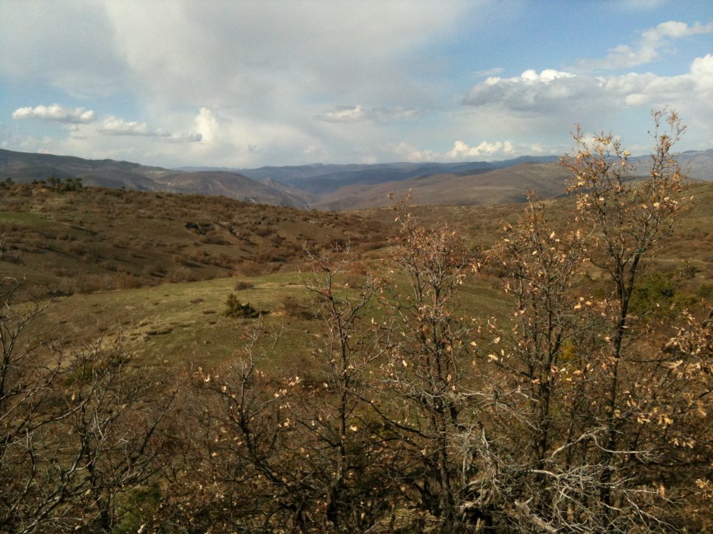 IMG_0022.jpg