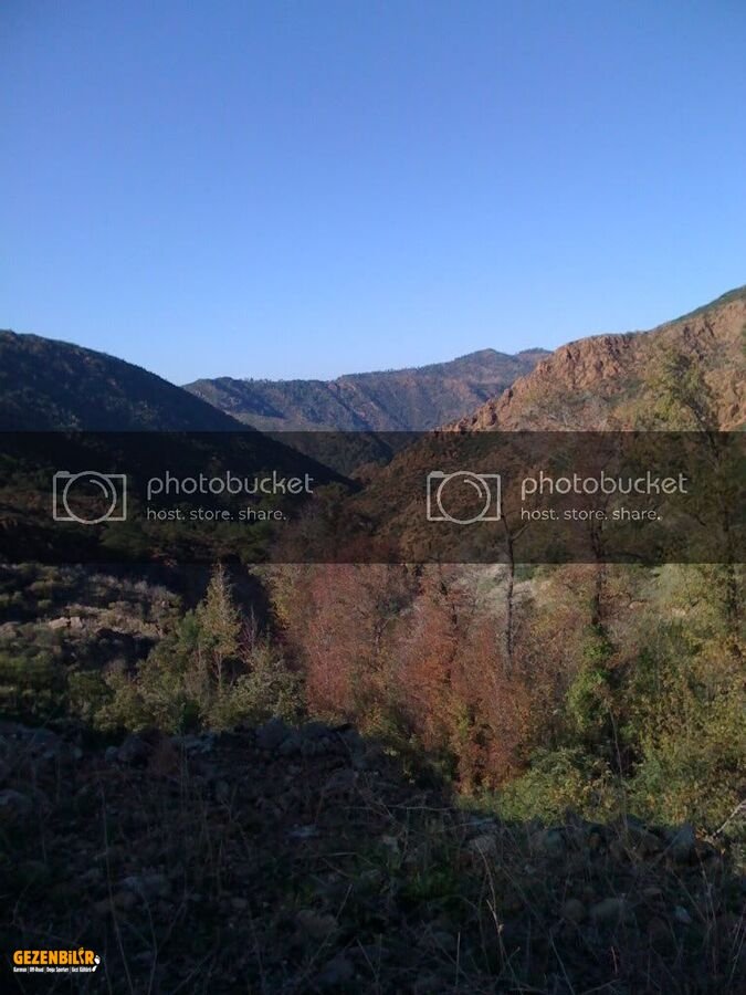 IMG_0031.jpg