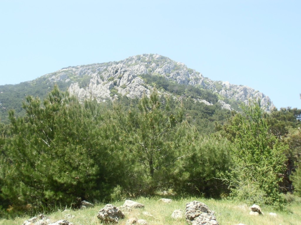 IMG_0035.JPG