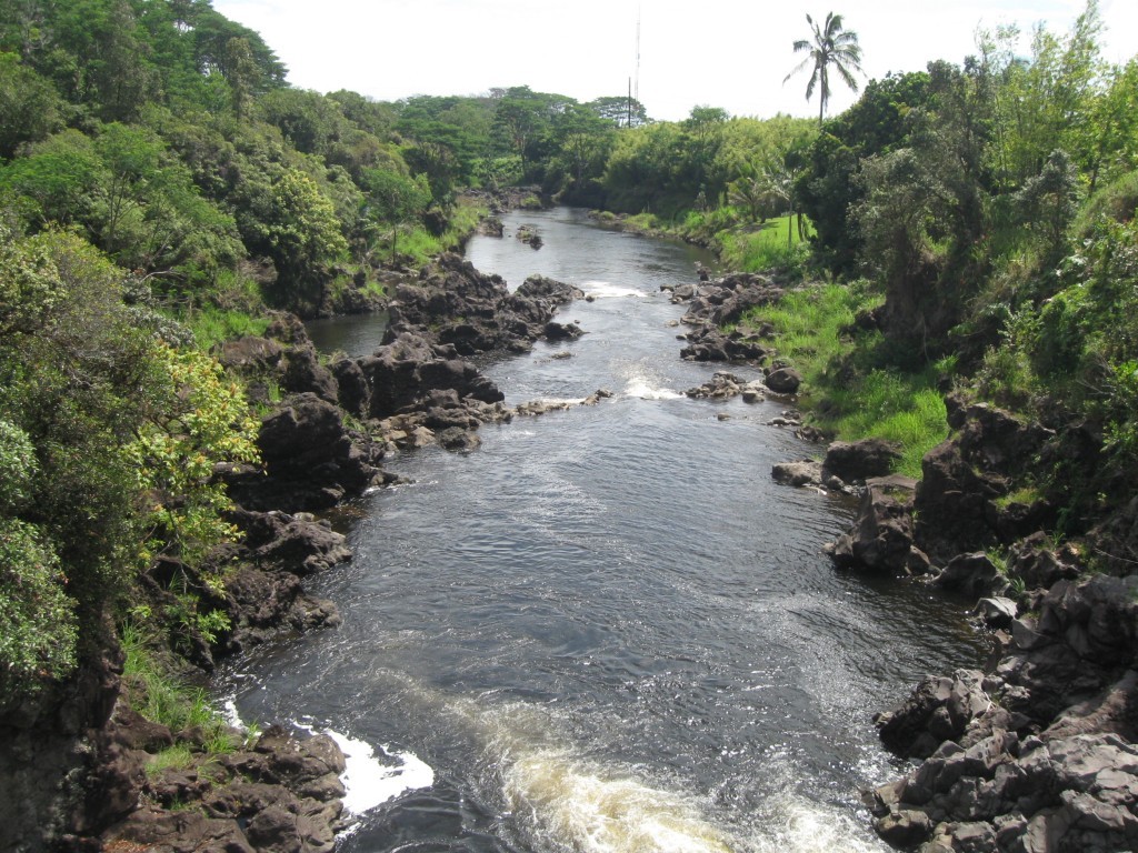 IMG_0039.JPG