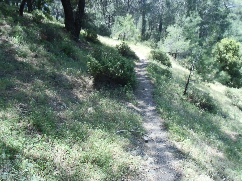 IMG_0040.JPG