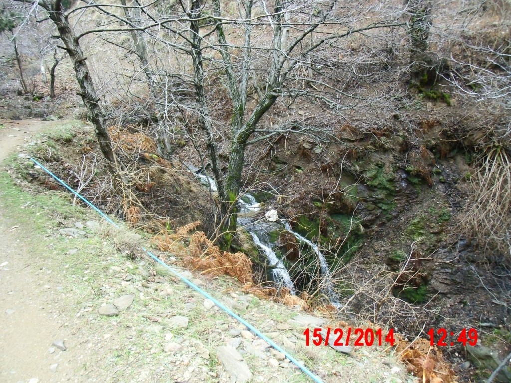 IMG_0041.JPG