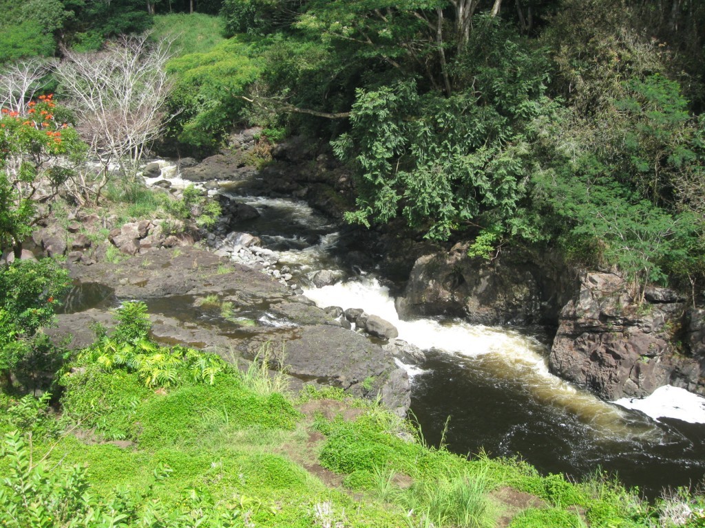 IMG_0042.JPG
