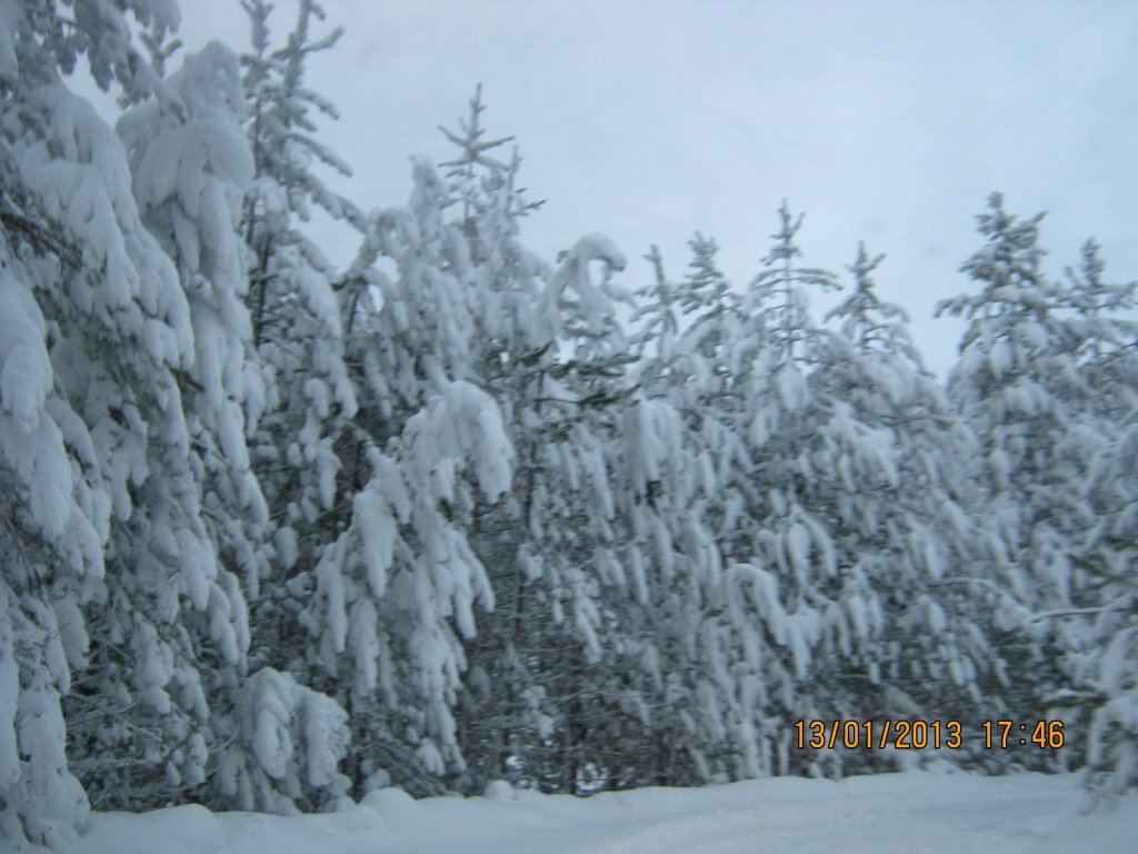 IMG_0043.JPG