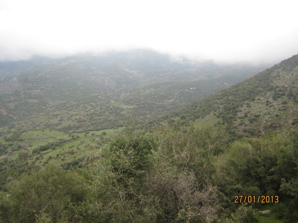 IMG_0051.JPG
