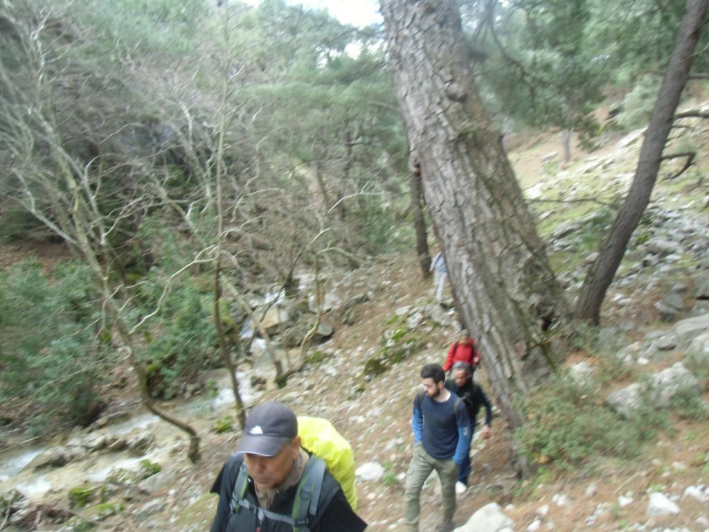 IMG_0056.JPG