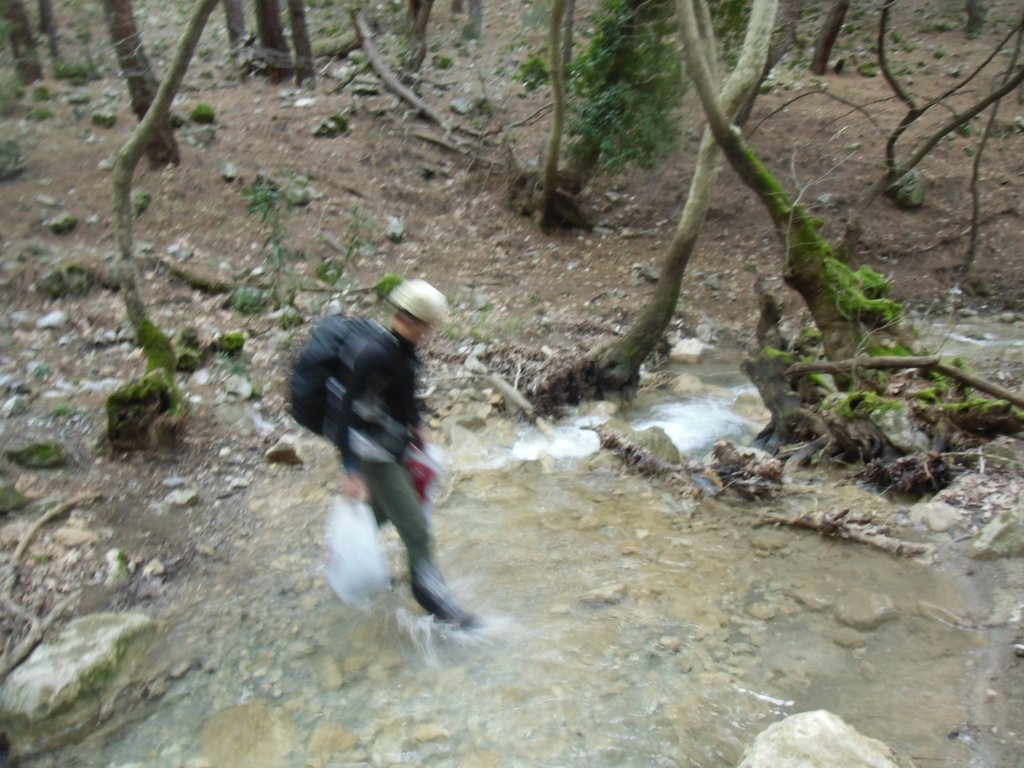 IMG_0058.JPG