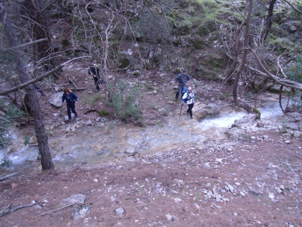 IMG_0066.JPG