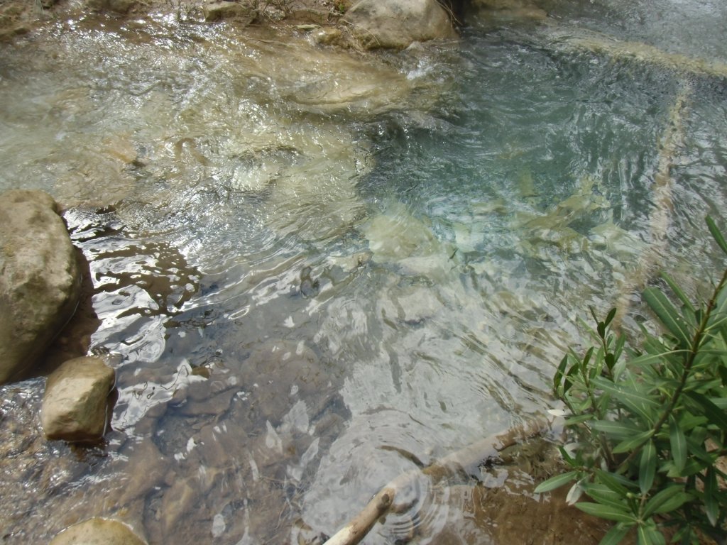IMG_0067.JPG