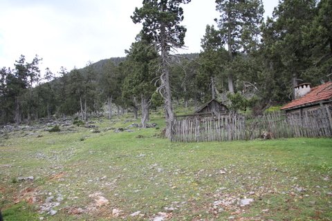 IMG_0068.JPG