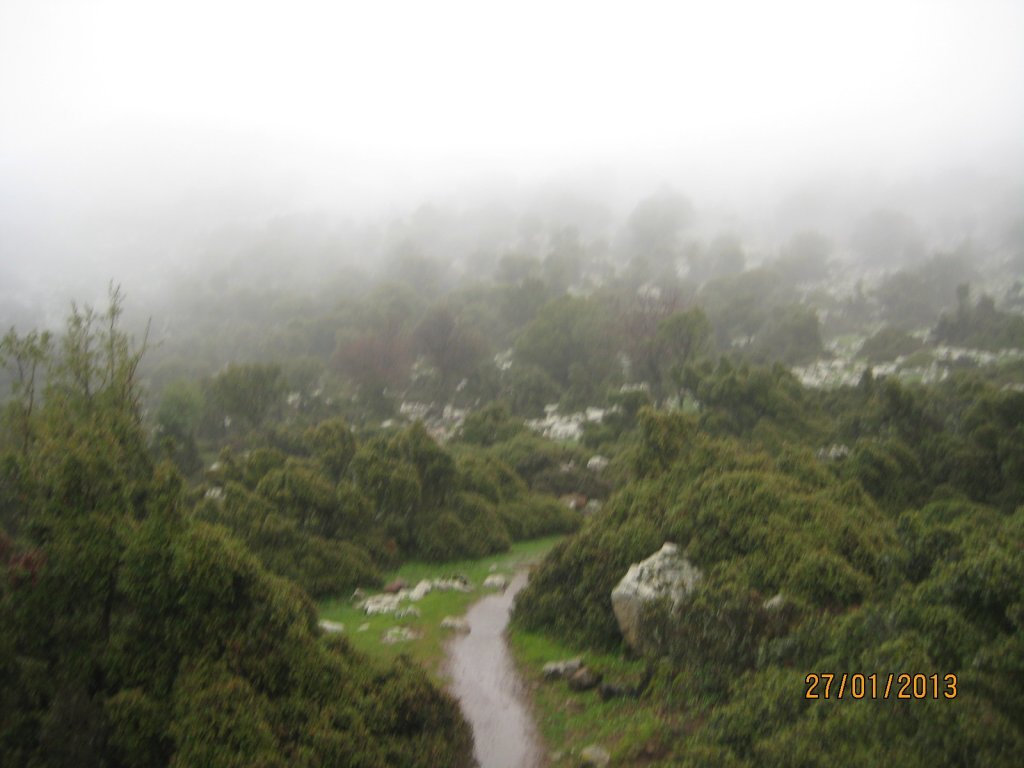 IMG_0069.JPG