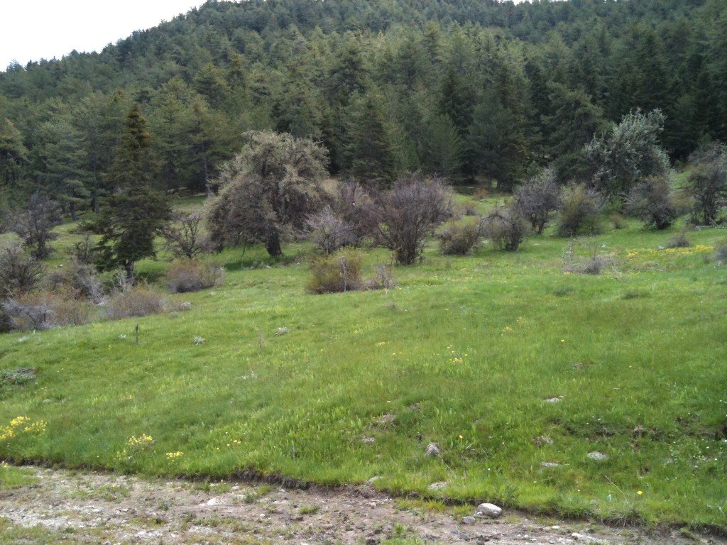 IMG_0076.jpg