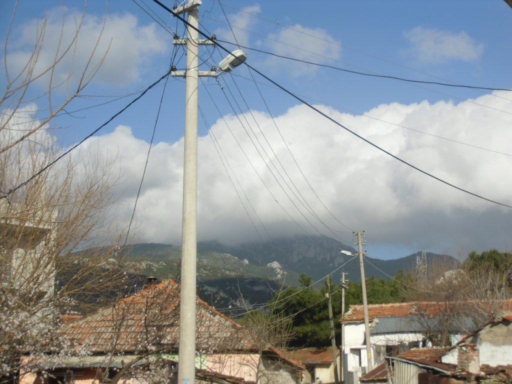 IMG_0086.JPG