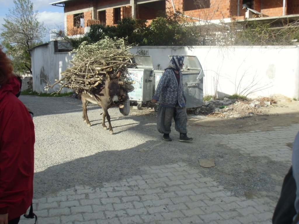 IMG_0087.JPG
