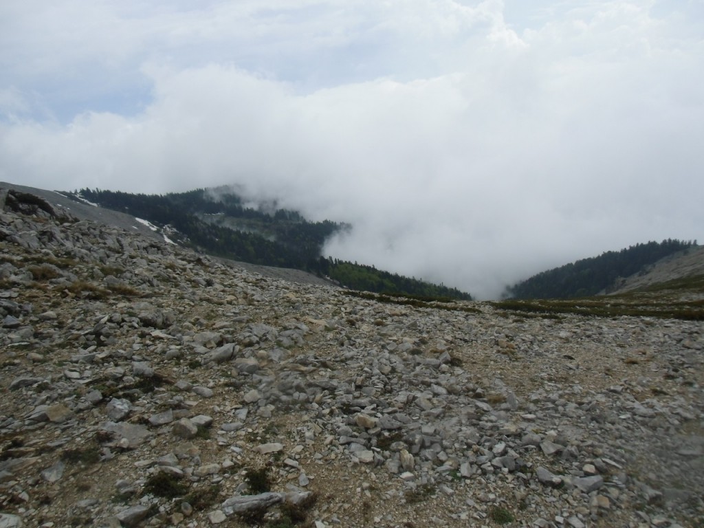 IMG_0104.jpg