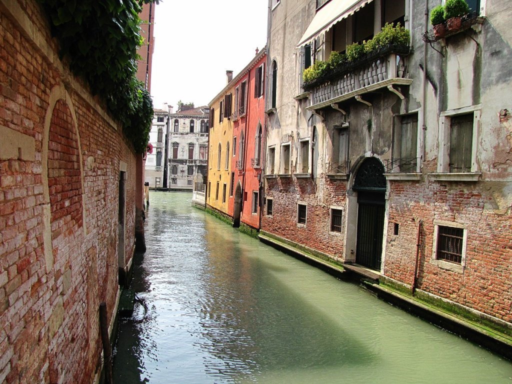 IMG_0107p.jpg