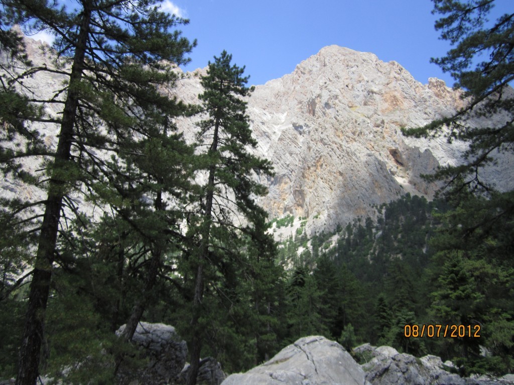 IMG_0108.JPG