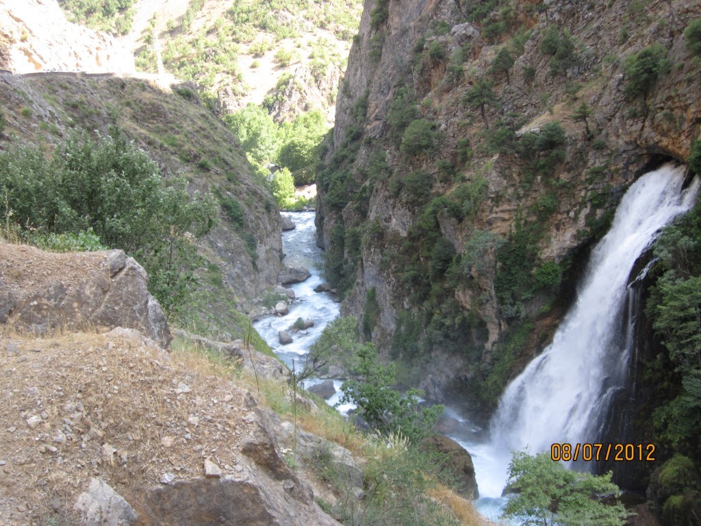 IMG_0123.jpg