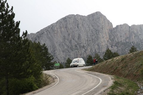 IMG_0133.JPG