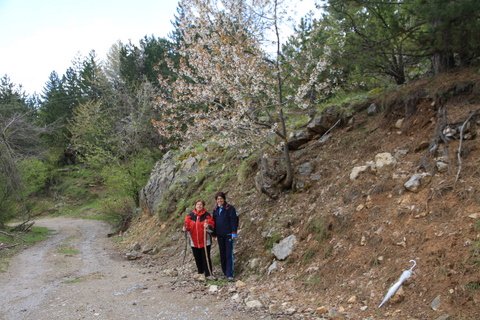 IMG_0149.JPG