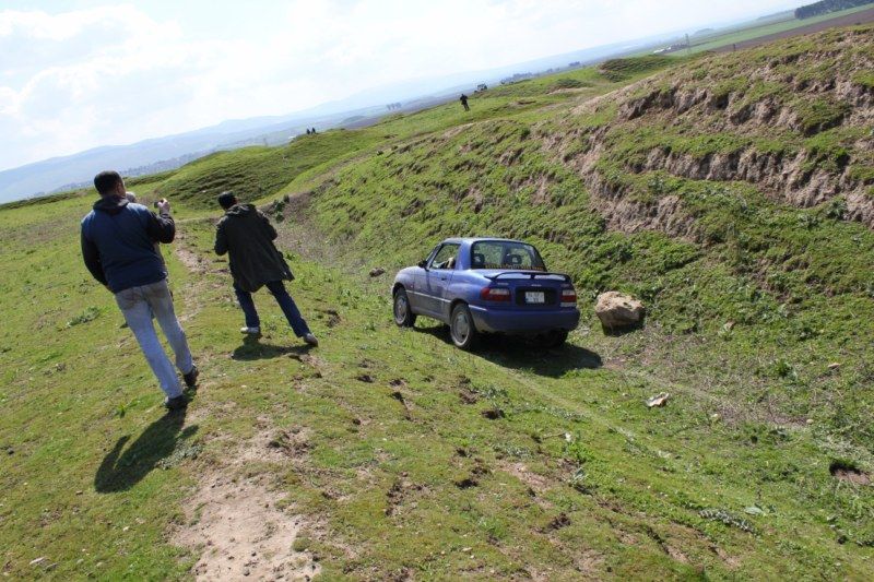 IMG_0155 [800x600].jpg