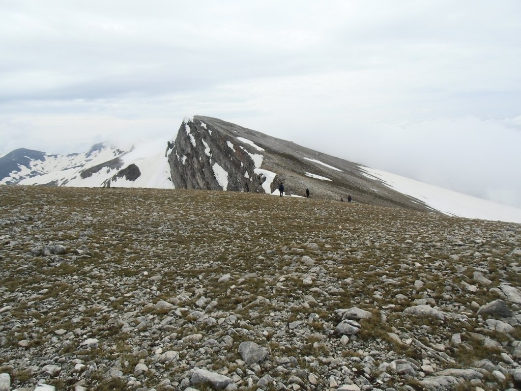 IMG_0166.jpg