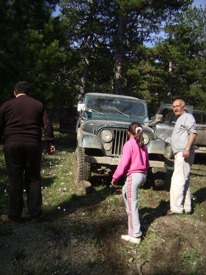 IMG_0175.jpg