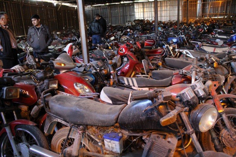 IMG_0181 [800x600].jpg