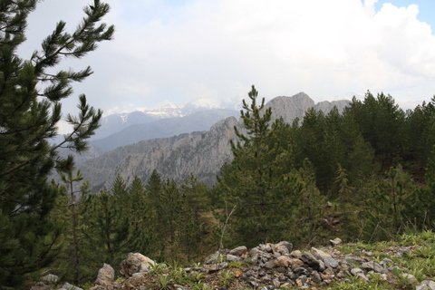 IMG_0183.JPG