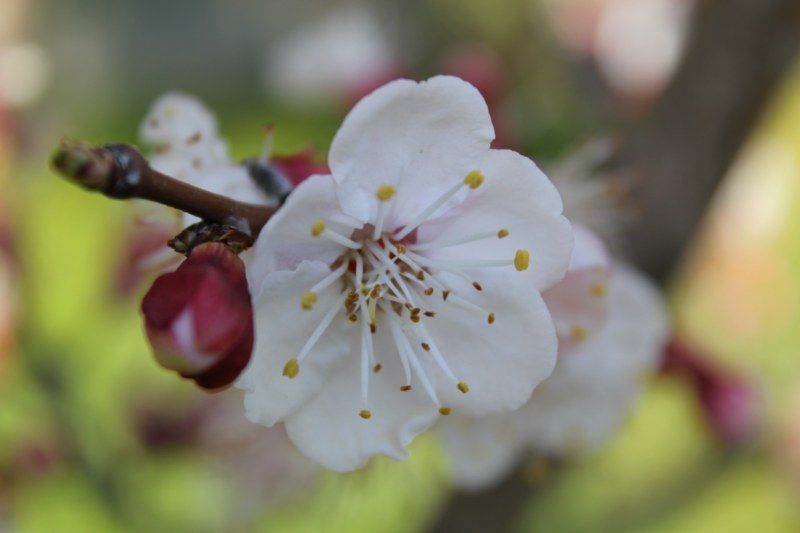 IMG_0189 [800x600].jpg