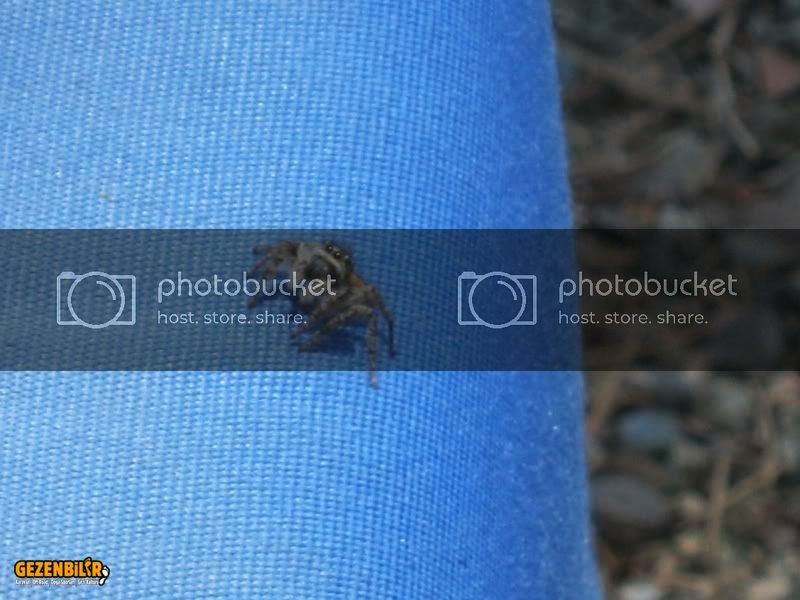 IMG_0190800x600.jpg