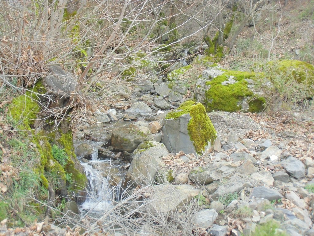 IMG_0191.JPG
