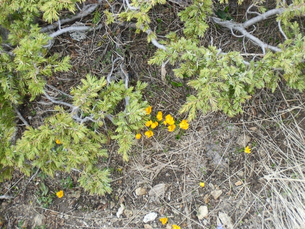 IMG_0199.jpg