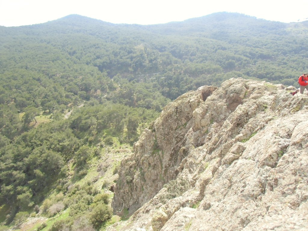 IMG_0200.JPG