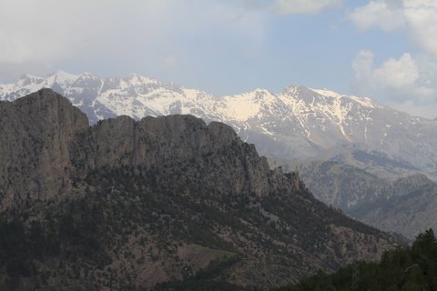 IMG_0200.JPG