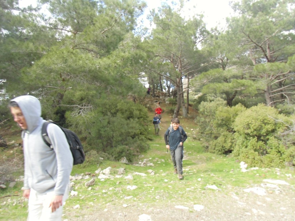 IMG_0205.JPG
