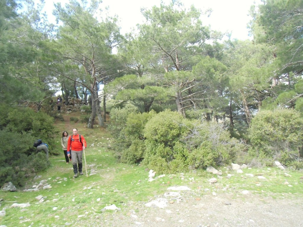 IMG_0206.JPG