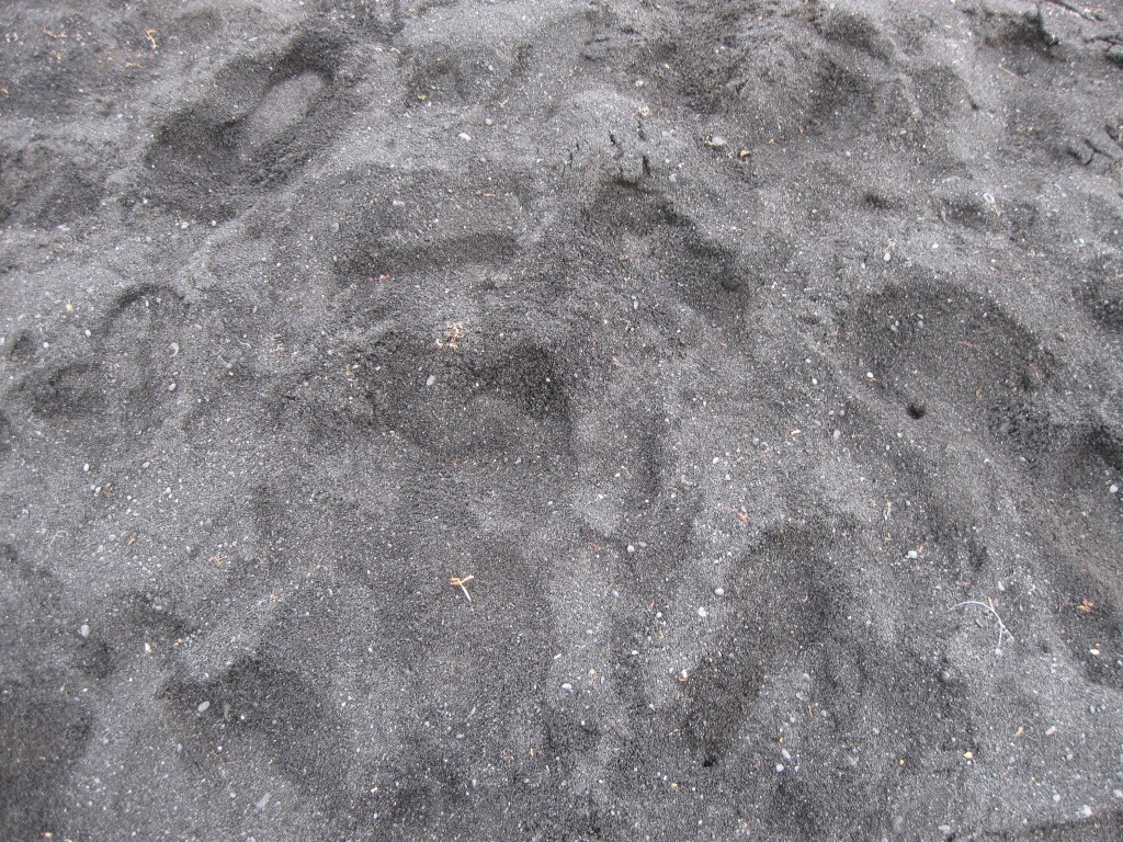 IMG_0207.JPG