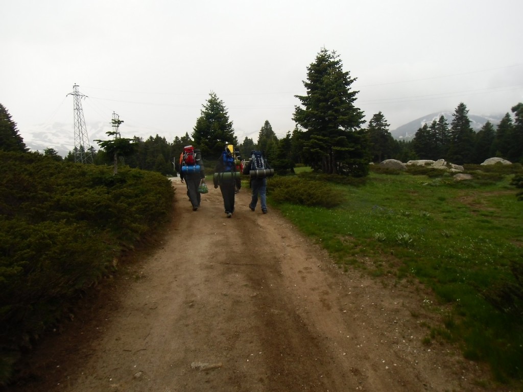 IMG_0208.jpg