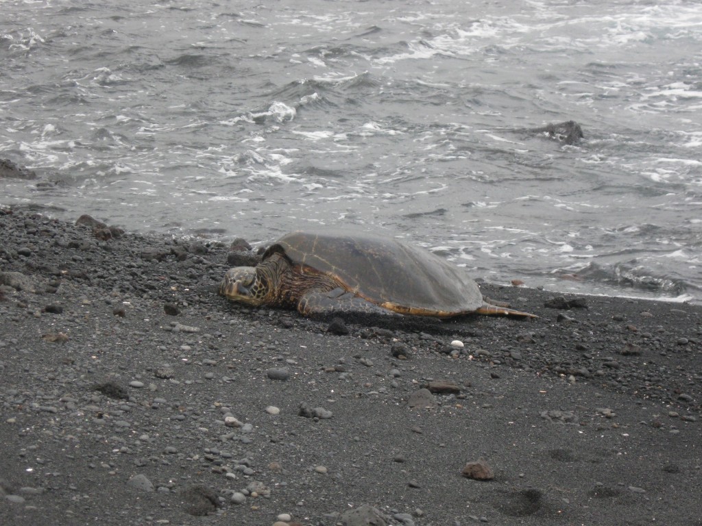 IMG_0235.JPG