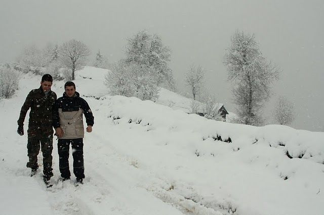 IMG_0265.jpg