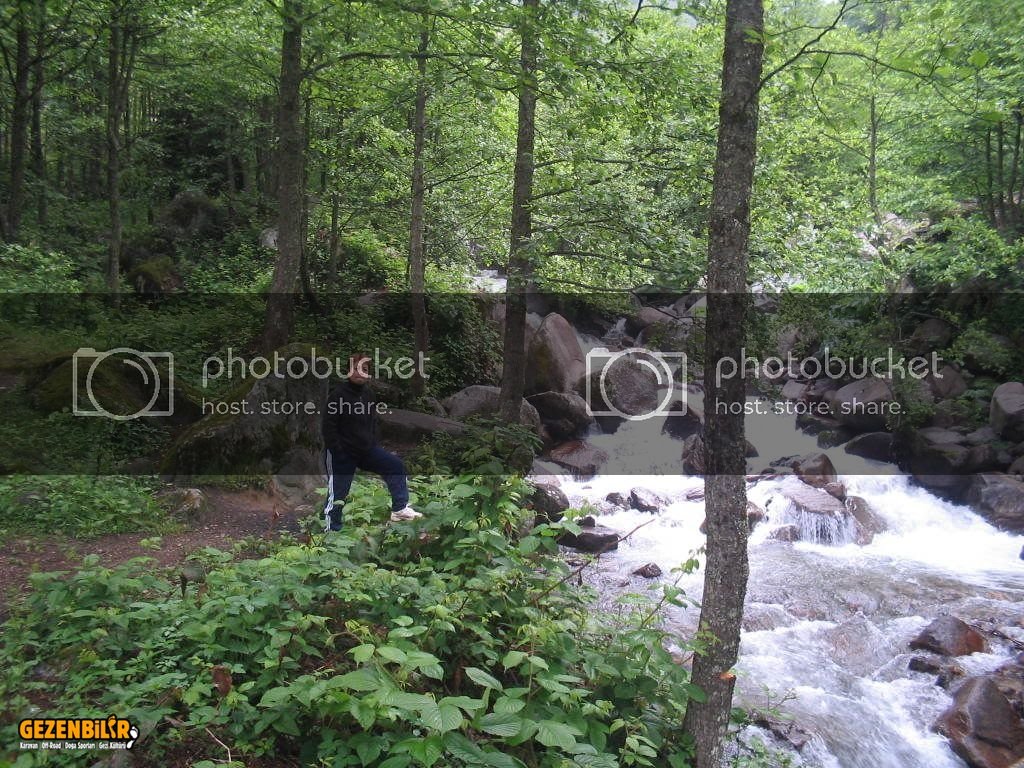 IMG_0271.jpg