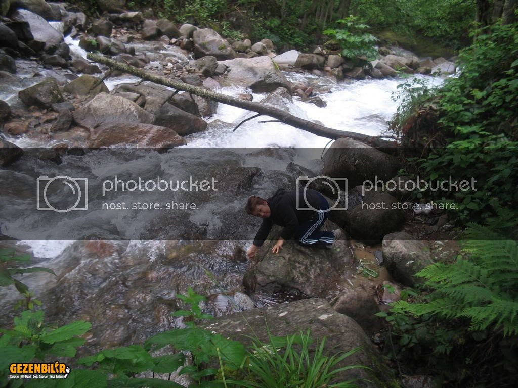 IMG_0272.jpg