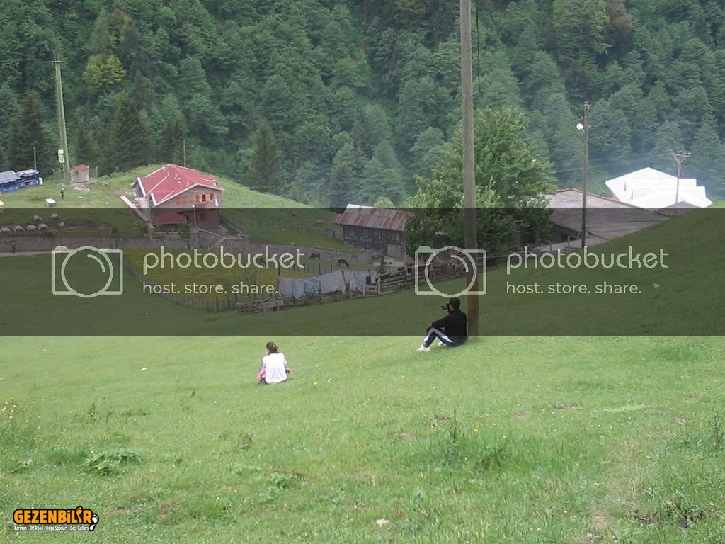 IMG_0288.jpg
