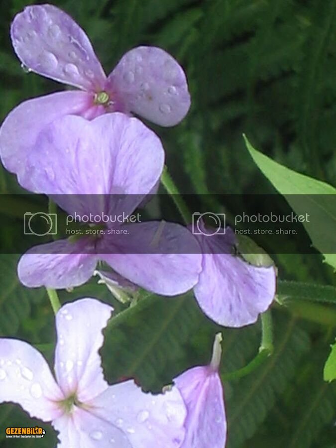 IMG_0317.jpg