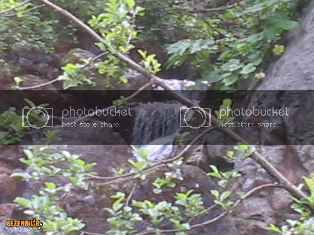 IMG_0322.jpg