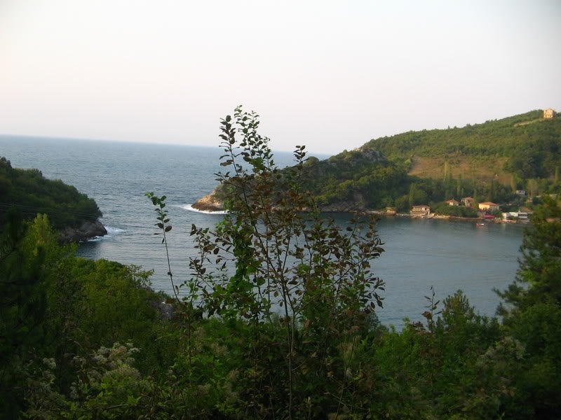 IMG_0347.jpg